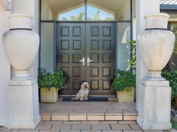 euro-double-door-entries-51
